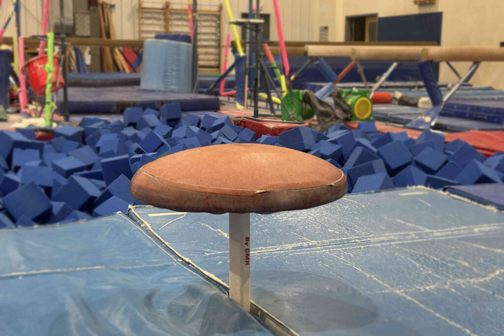 Red Gymnastics Mushroom