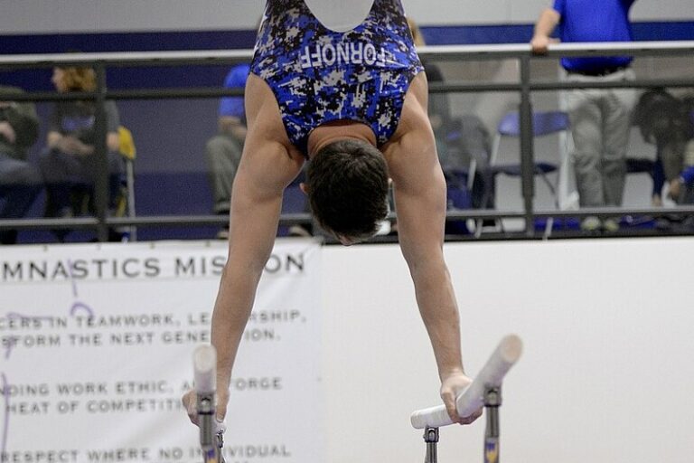 Handstand Parallel Bars