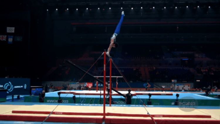Stalder High Bar